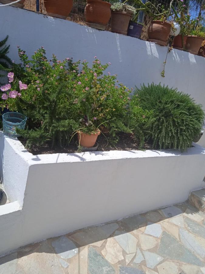 To Limanaki Daire Finikounta Dış mekan fotoğraf